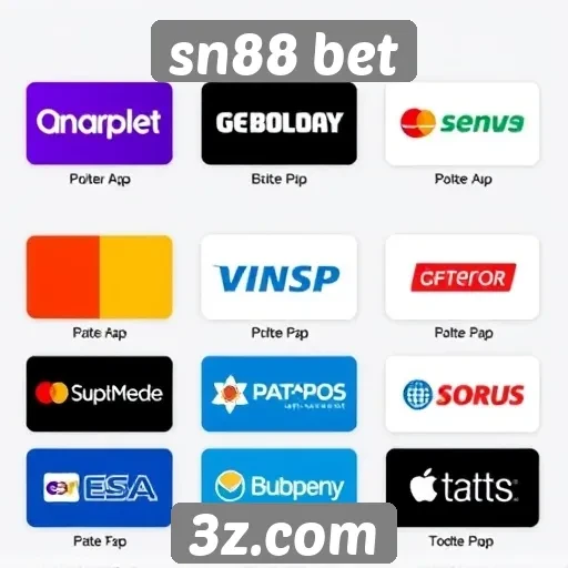 variedade de métodos de pagamento no sn88 bet